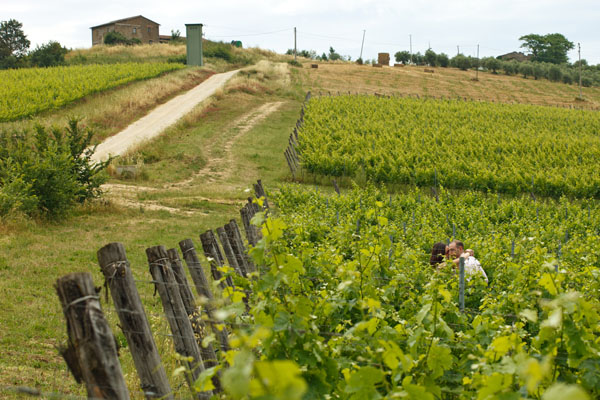 engagement session a tema vino | come le ciliegie-10
