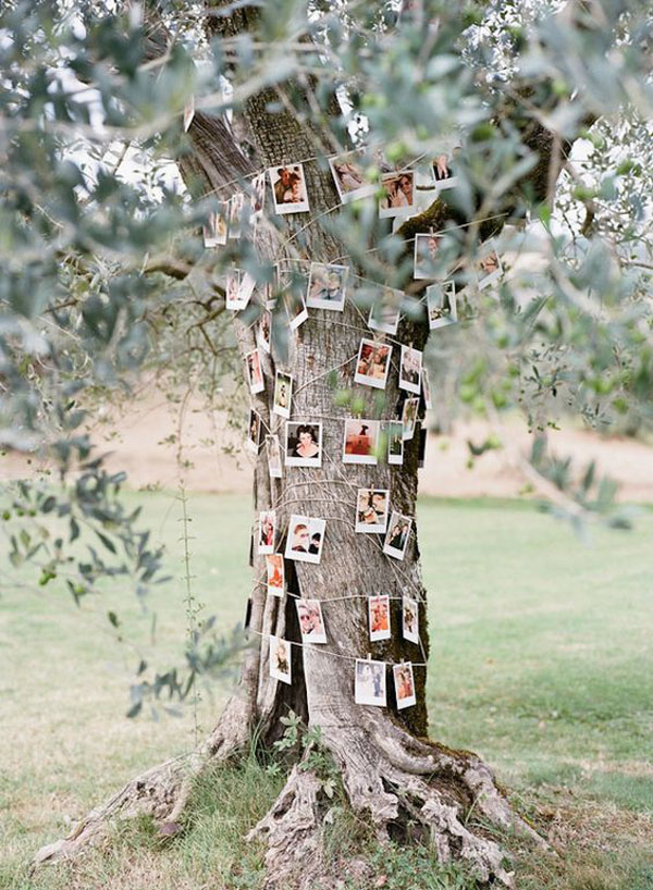 ghirlanda di foto su un albero