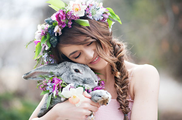 coniglio - animali ai matrimoni