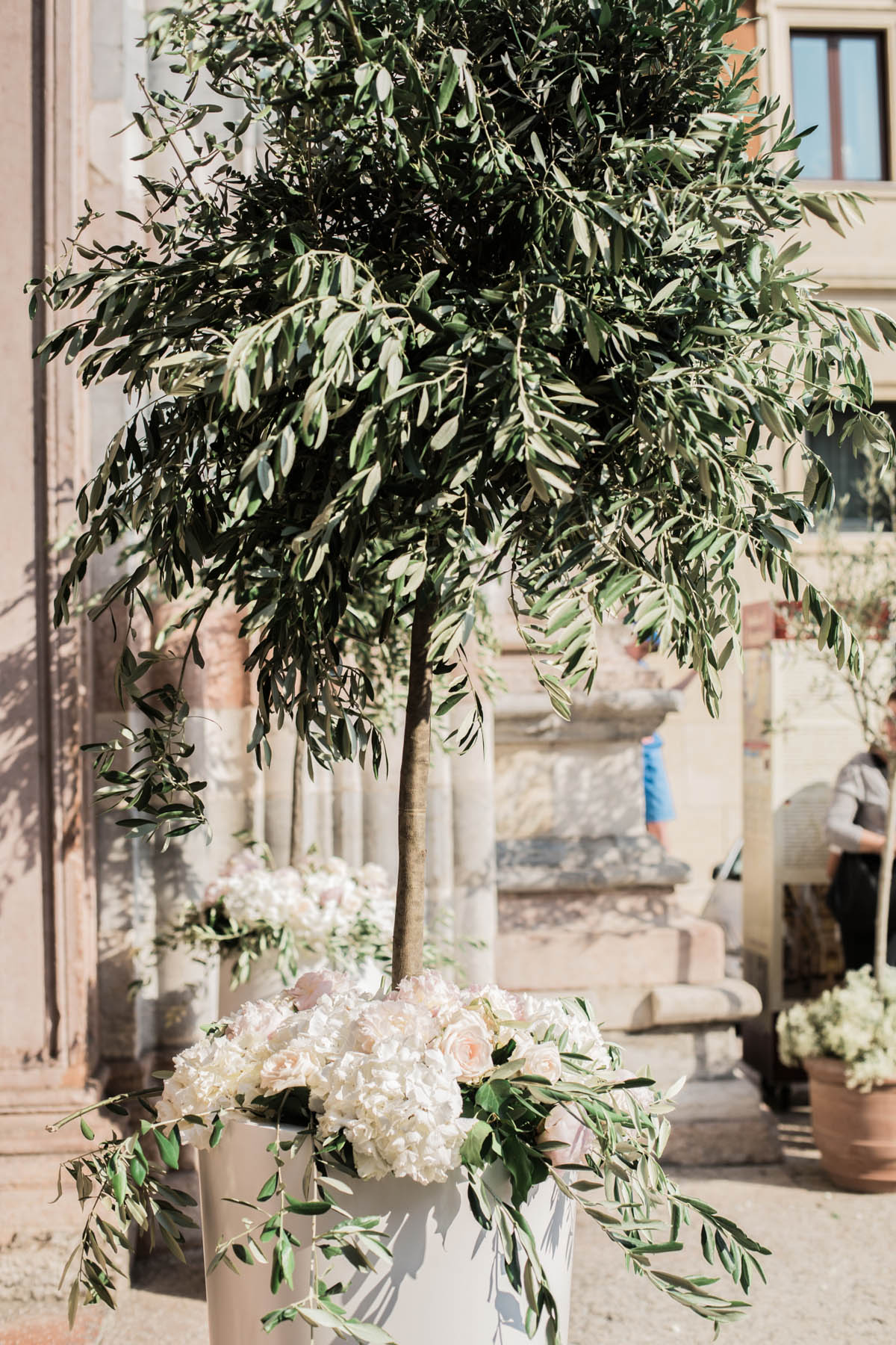 allestimento sagrato chiesa con piante di ulivo e fiori