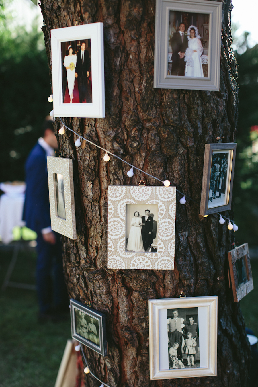 albero delle foto matrimonio